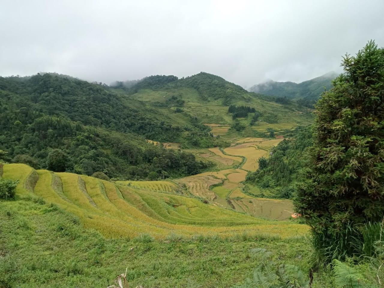 Bac Ha Charm Stay Eksteriør bilde