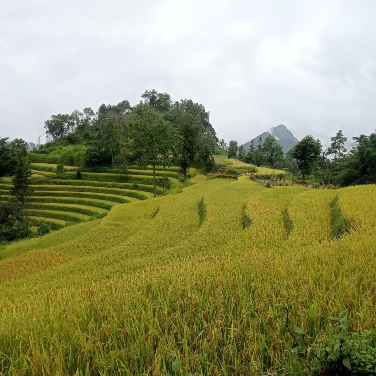 Bac Ha Charm Stay Eksteriør bilde